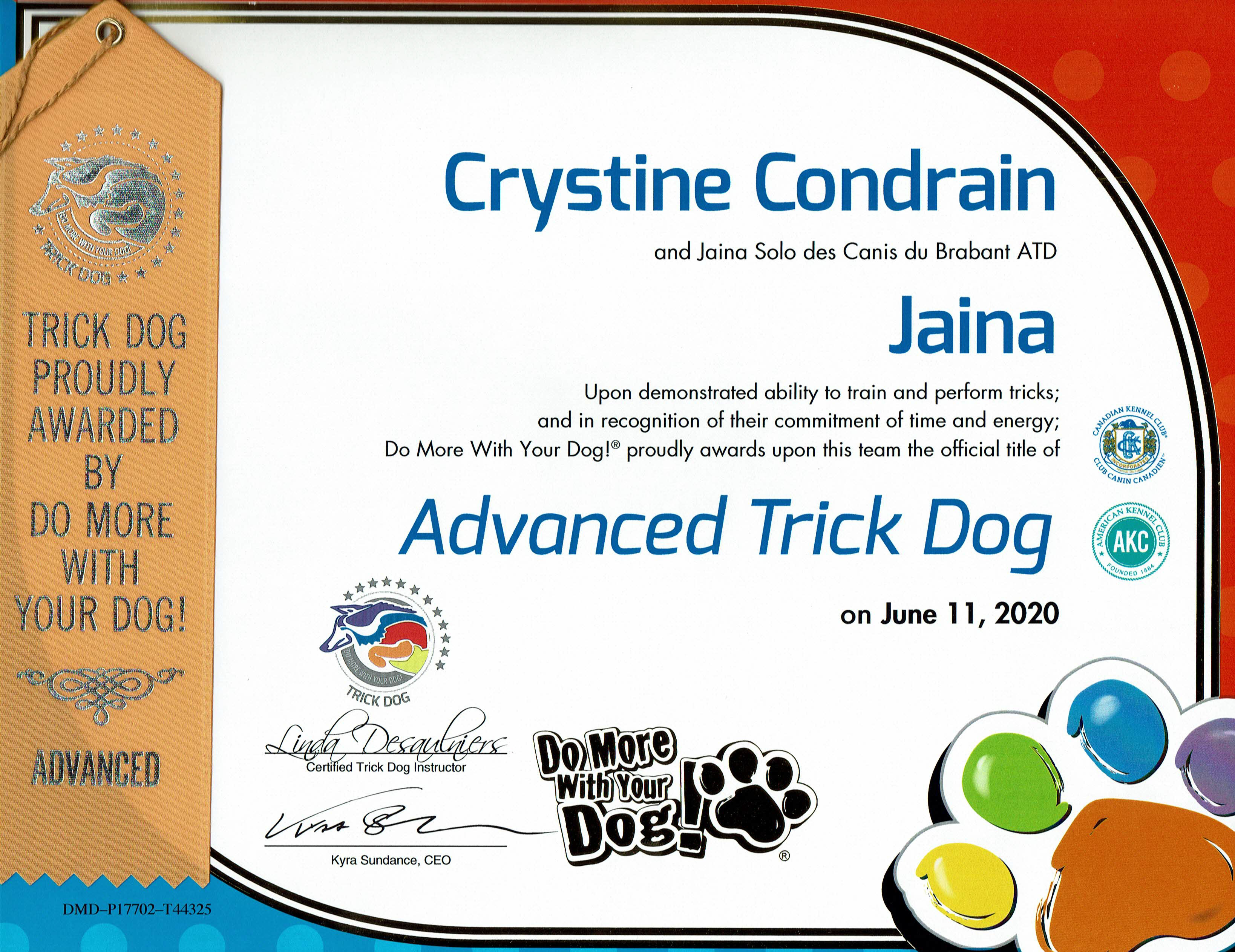 Certificat "Trick Dog" - Avancé - Jaina 2020